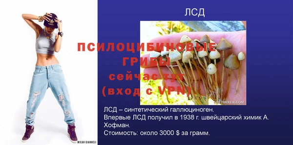 меф Алексин