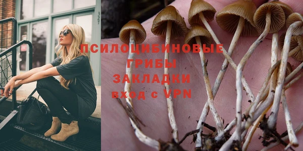 меф Алексин