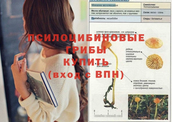 кокаин Алзамай