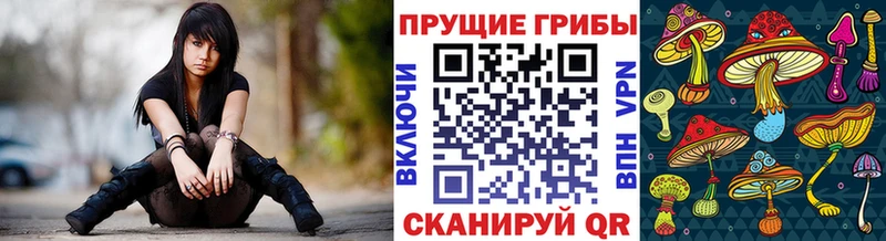 Галлюциногенные грибы Cubensis  Раменское 